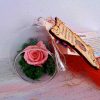Glob - diplomă cu trandafir criogenat - 8 martie - NEMURITOARE