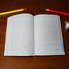 agenda neagra nedatata interior-Arta Traditiei